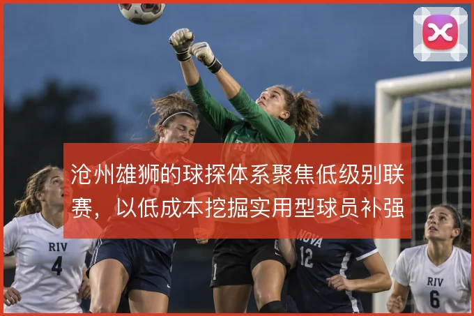 沧州雄狮的球探体系聚焦低级别联赛，以低成本挖掘实用型球员补强阵容
