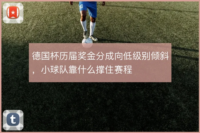 德国杯历届奖金分成向低级别倾斜,小球队靠什么撑住赛程