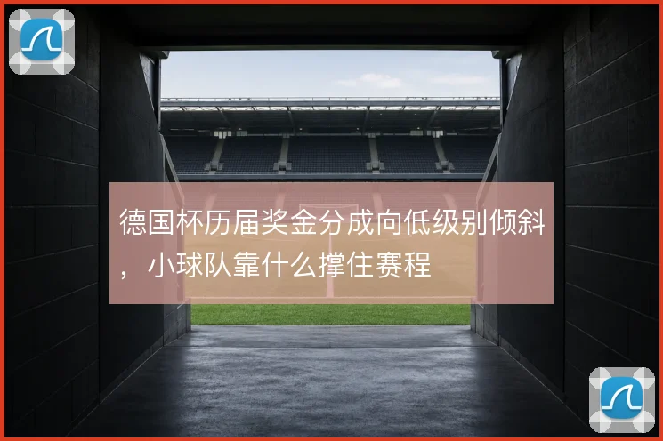 德国杯历届奖金分成向低级别倾斜,小球队靠什么撑住赛程
